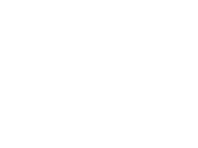 LogoLook&RunTeamBLANCOFinal